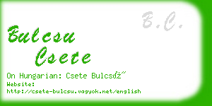 bulcsu csete business card